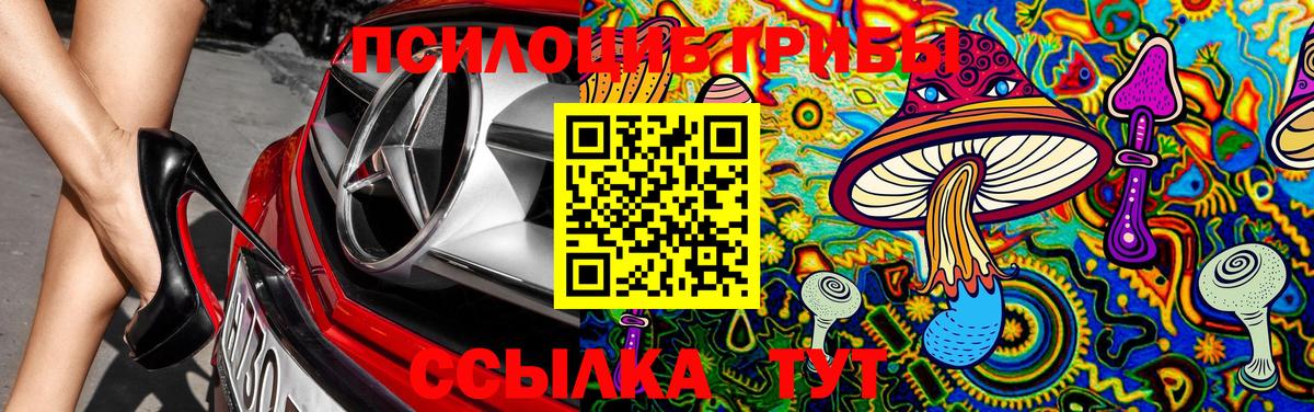 Галлюциногенные грибы MAGIC MUSHROOMS  Вход с VPN  Кулебаки 