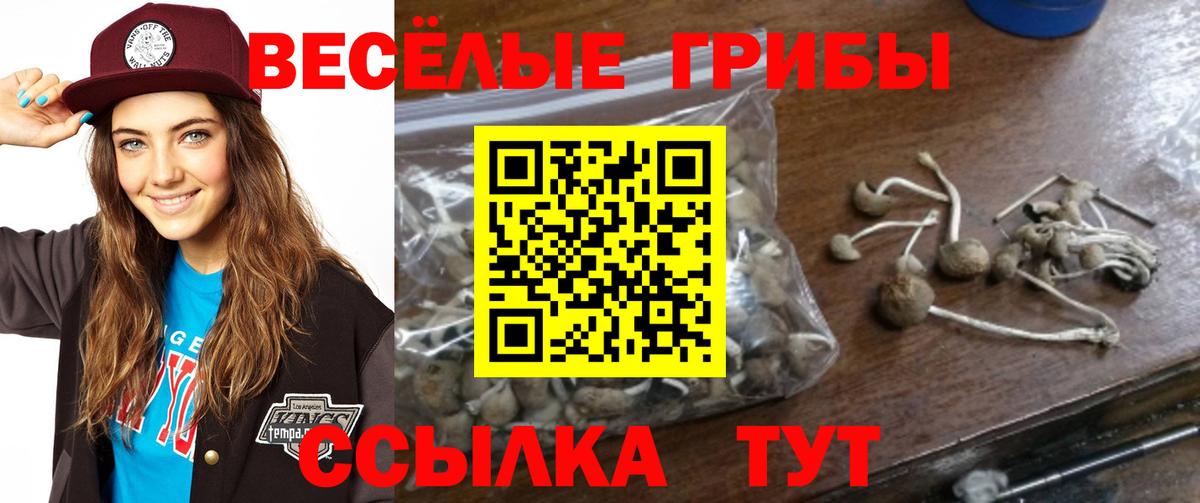 Псилоцибиновые грибы Magic Shrooms Кулебаки